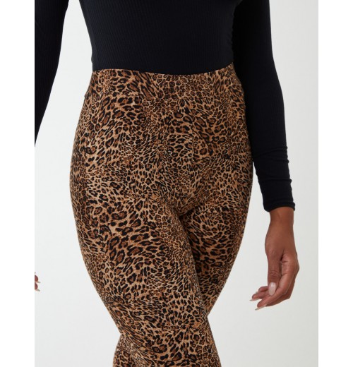 Leopard Print Flared Pants